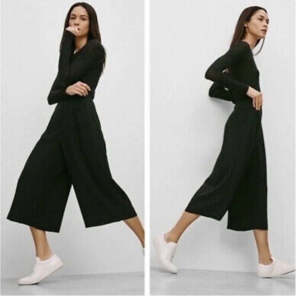 Aritzia Babaton Lazarus Culottes Cropped Wide Leg Pants